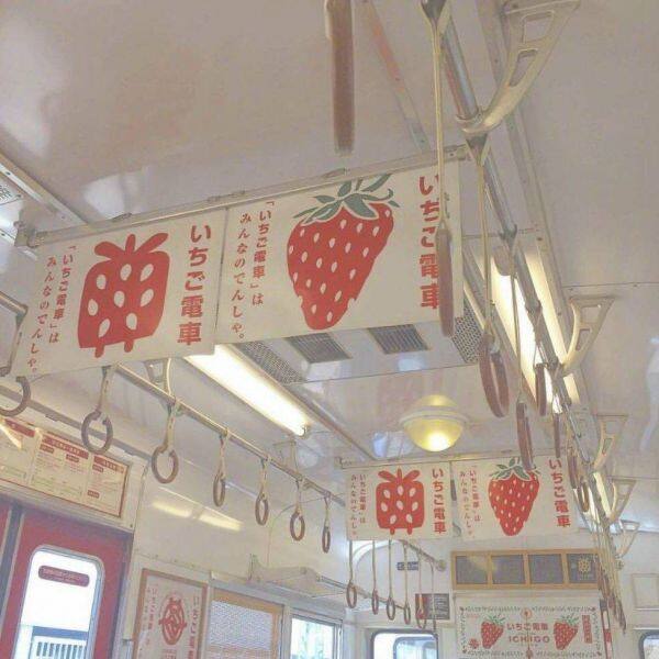 Grocery Shed company overview - view 1