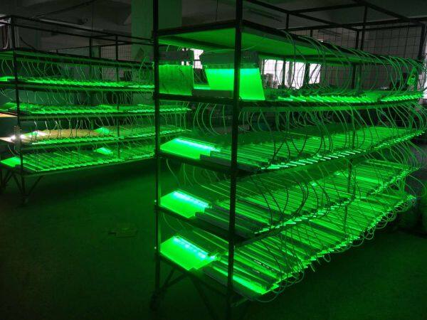 Wangsida Lighting company overview - view 4