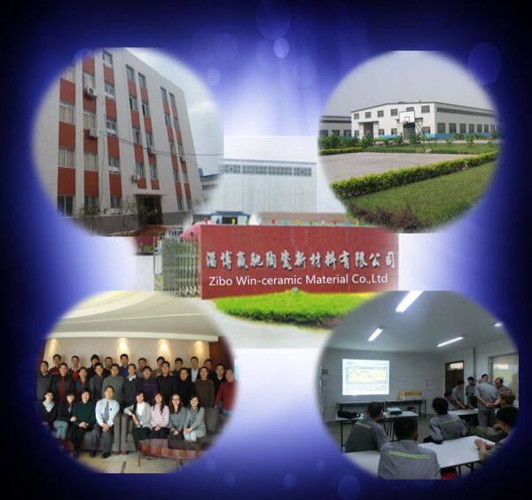 Zibo Win-ceramic Material Co., Ltd. company overview - view 1
