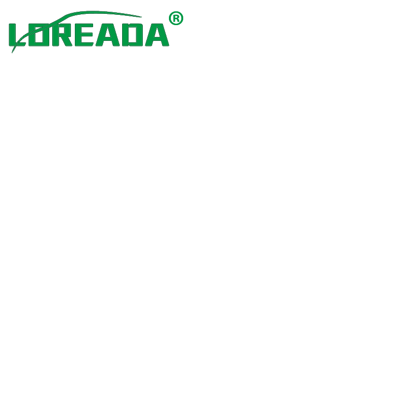 Changsha LOREADA Auto Parts Co,.LTD company overview - view 1