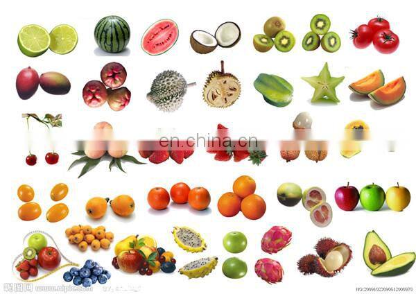 Industrial fast microwave pumpkin powder sterilizer machine