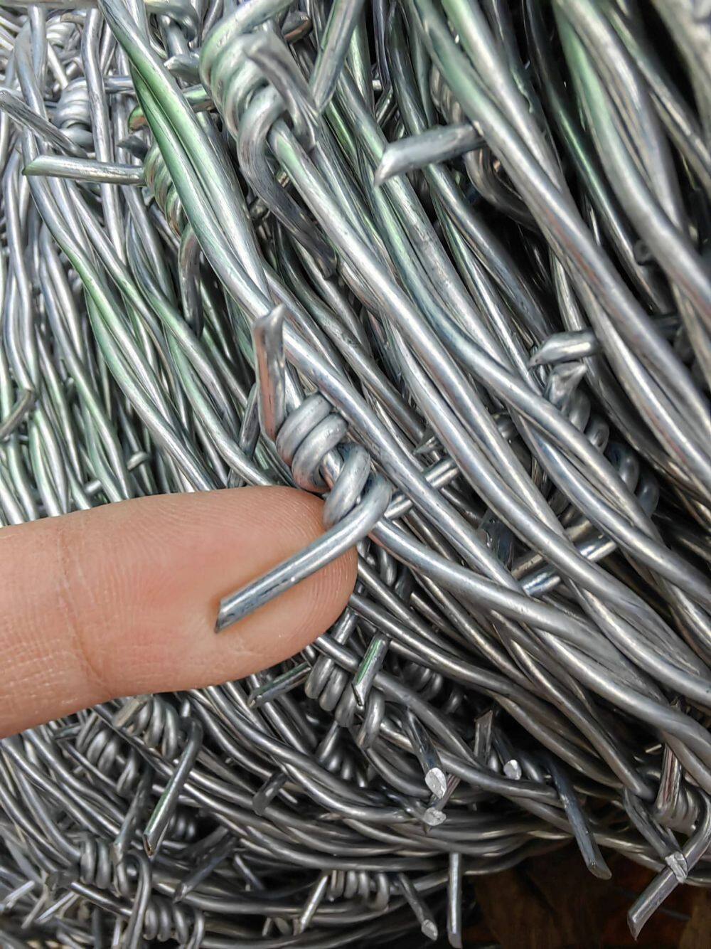 406885757_1439357183288346_2800221598545272045_n