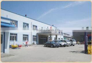 Wenzhou Loyal Amusement Co., Ltd. company overview - view 2