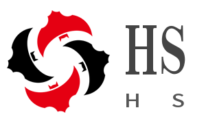 HS Electrical Technology Co,LTD company overview - view 1