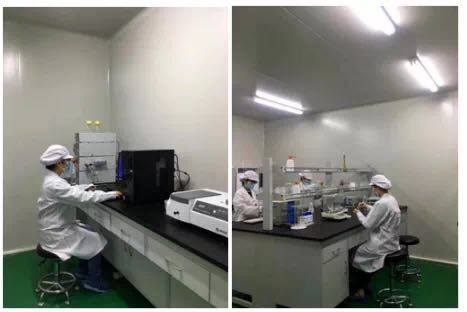 Shaanxi Pepsit Biotechnology Co., Ltd company overview - view 3