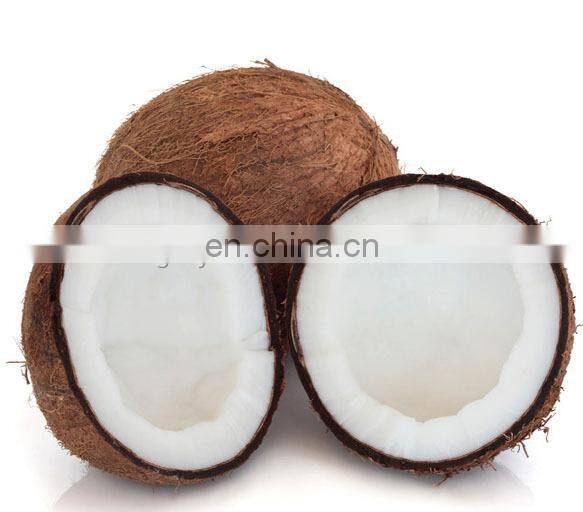 fresh coconut water extracting machine / coconut juice processing machine