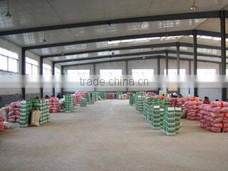 Jining Lord Trading Co., Ltd. company overview - view 4