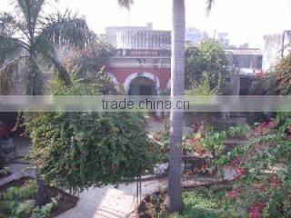 M/S JANDAOOD & COMPANY company overview - view 1