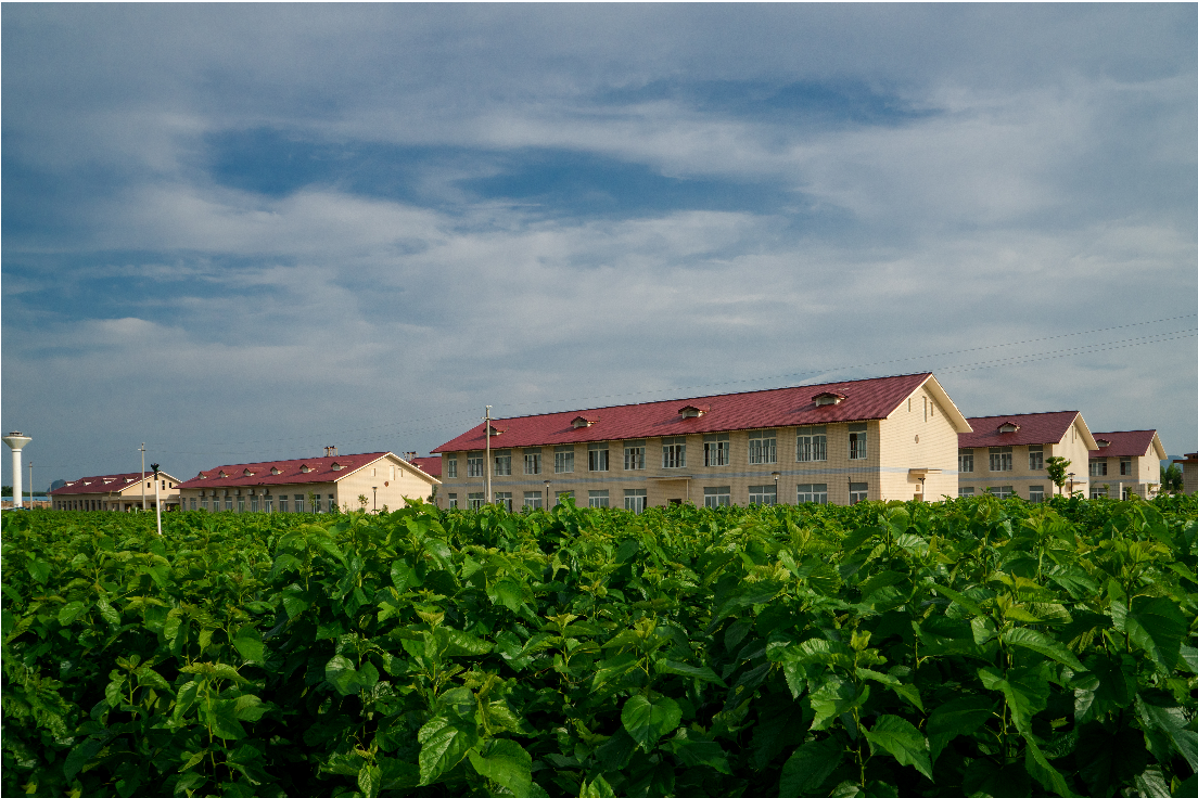 Guangxi Nanning Tianlong Biological Technology Co., LTD company overview - view 1