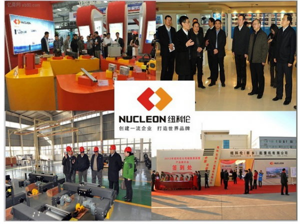 Nucleon Crane Group company overview - view 4