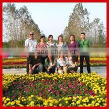 Zhengzhou Solon Import & Export Trading Co., Ltd. company overview - view 2