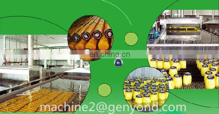 Factory Genyond fruit pineapple tomato peach canning sealing machine canned fruits processing plant production line price