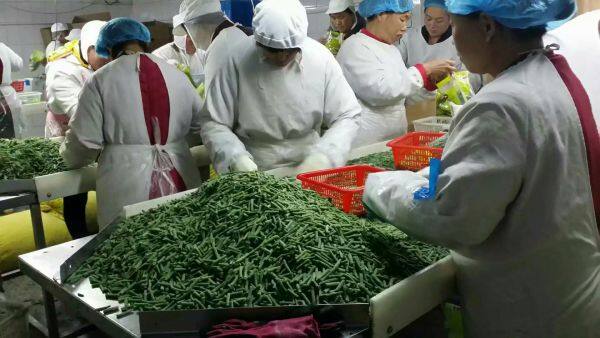 Heze Wit Food Co.,ltd company overview - view 2