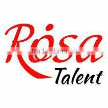 Rosa Trade Llc company overview - view 1