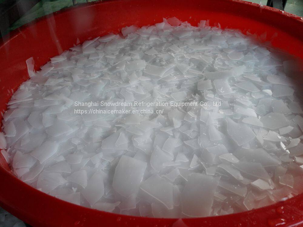 flake ice 11