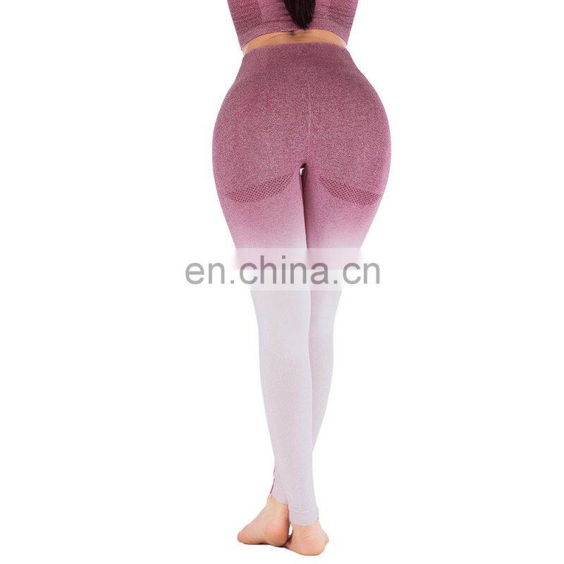 Hot selling sportswear seamless women tights leggings