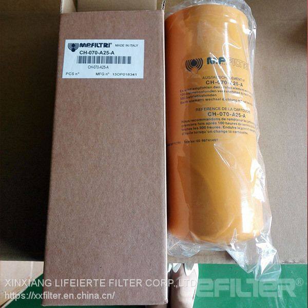 Suction-Filter-MP-Filtri-Str0704sg1m90 (1)