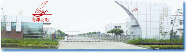 The Sea Feather Limited Company Of Luan company overview - view 2