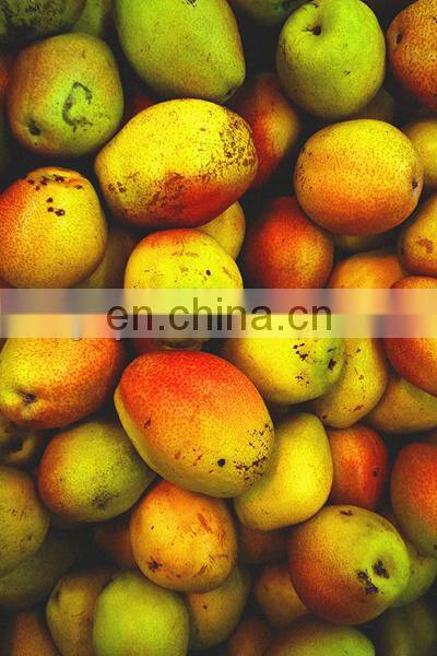 Hot sale apple washing machine