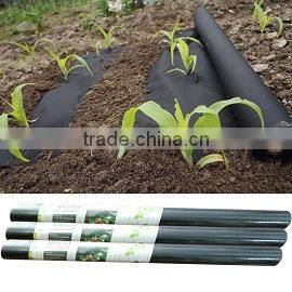 Wenzhou Shengen Nonwoven Co., Ltd. company overview - view 3