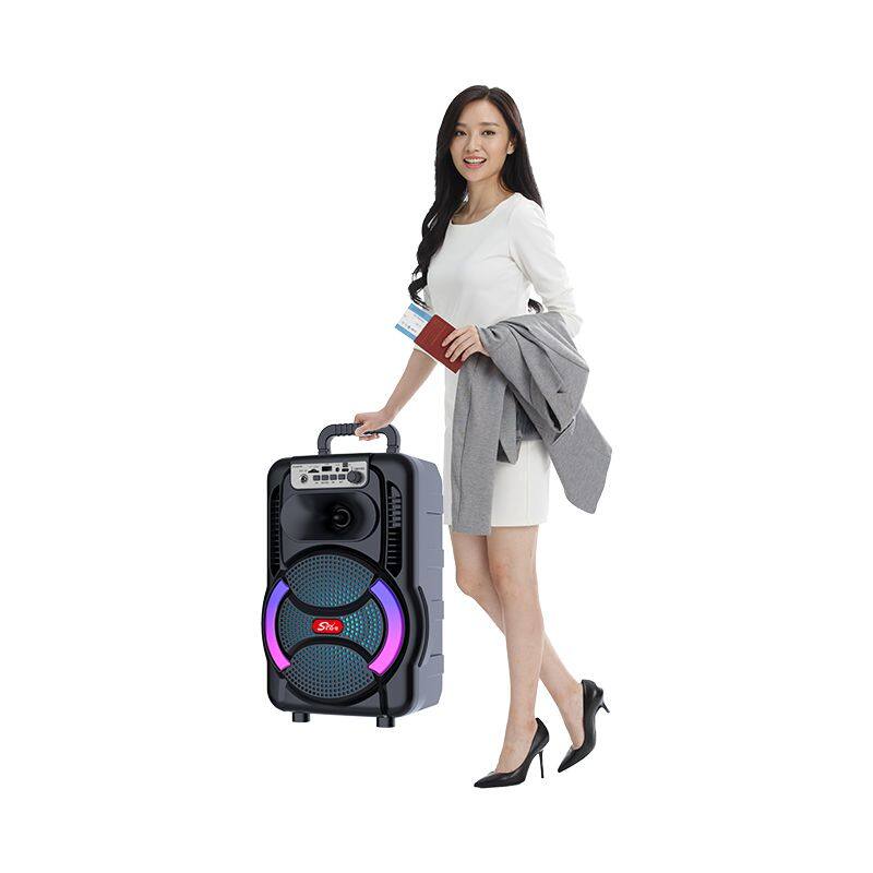 ZQS8166 best 2400MAH battery capacity 20W power 8 inch OEM with MIC bluetooth speaker for outdoor