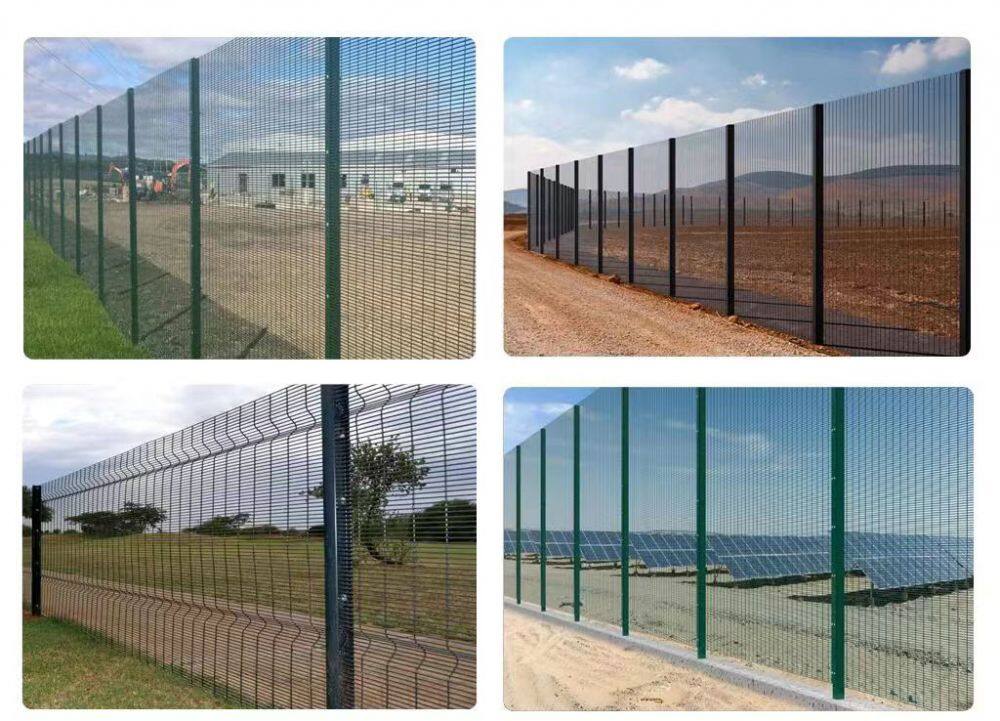 微信图片_2026020614495825