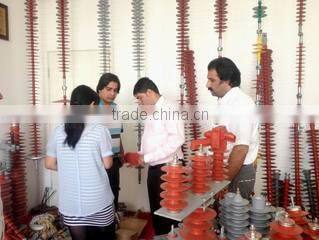 Wenzhou Mingneng Electrical Co., Ltd. company overview - view 2