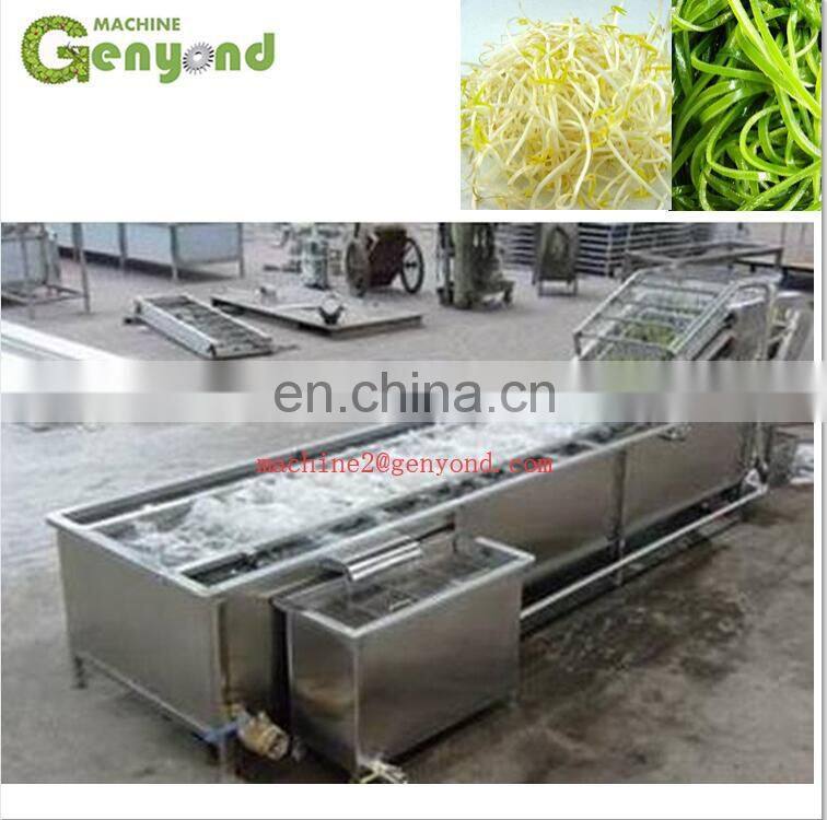 Commercial Vegetable Washer/Air Bubble Vegetable Washing Machine