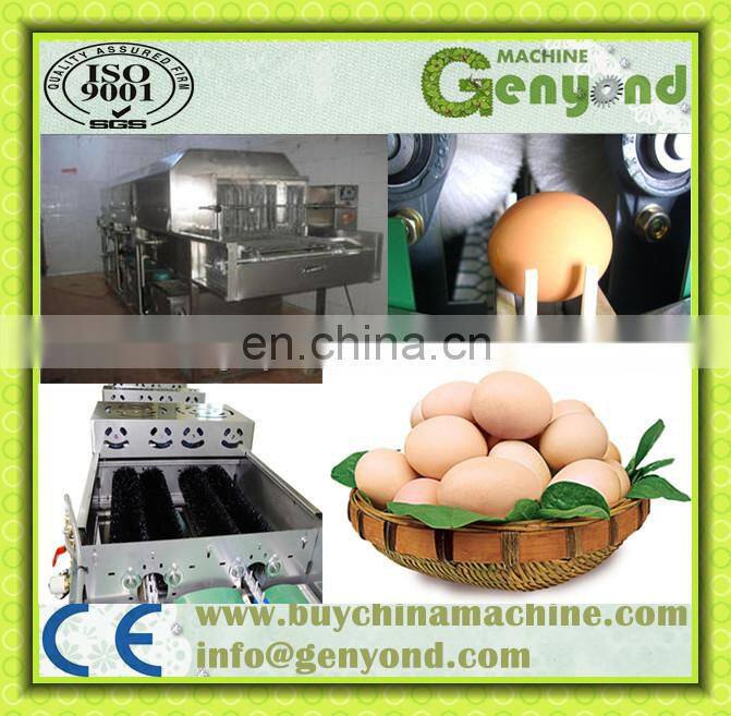 automatic egg washer/chicken egg washing machine