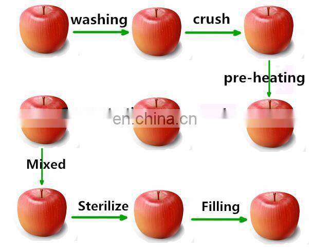 Small capacity Ginkgo juice/fresh fruit juice production line /plant /processing line /equipment