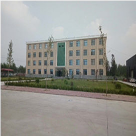 XINGTAI YOUYUXUAN TRADING Co., Ltd company overview - view 1