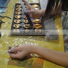 Yueqing Greensun Import & Export Co., Ltd. company overview - view 3