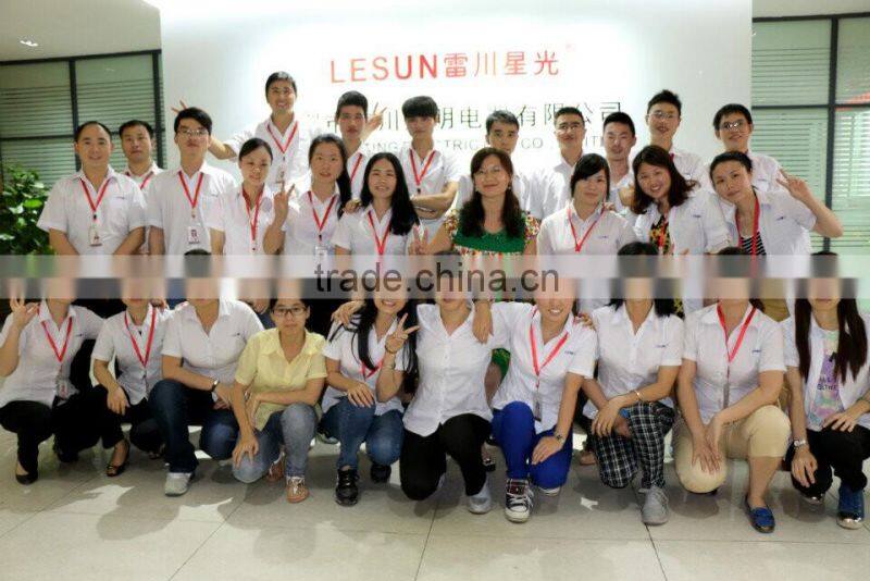 Shenzhen Lesun Lighting Electric Co., Ltd. company overview - view 3