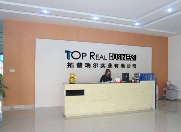 Top Real Business Limited company overview - view 1