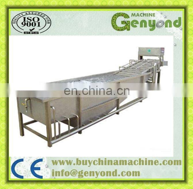 Commercial Vegetable Washer/Air Bubble Vegetable Washing Machine