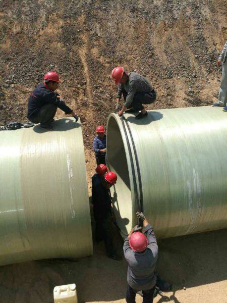 Hengshui Gains Trade Co., Ltd. company overview - view 3