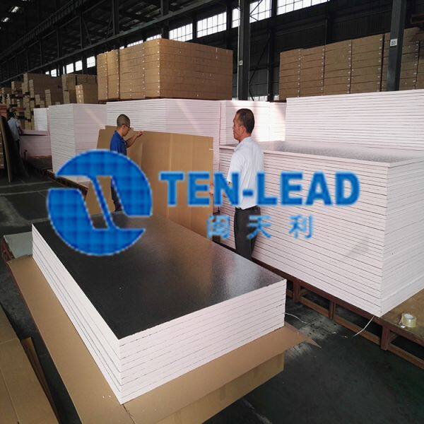 Fujian Tenlead Advanced Material Co., Ltd company overview - view 4