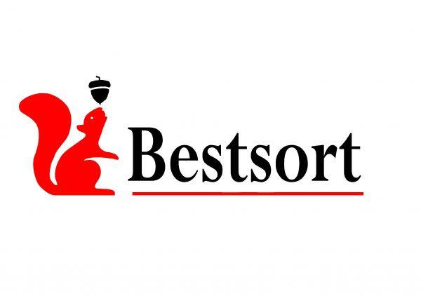 Hebei Bestsort Machinery Technology Co., Ltd.