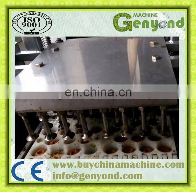 Apricot Seed Removing Machine Fruit Seed Remover