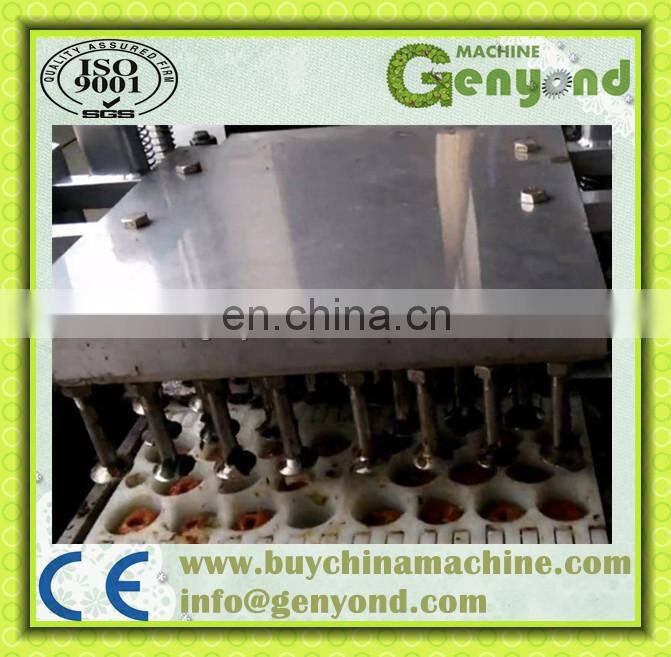 Cherry pitting machine / olive seed / cherry pit removing machine