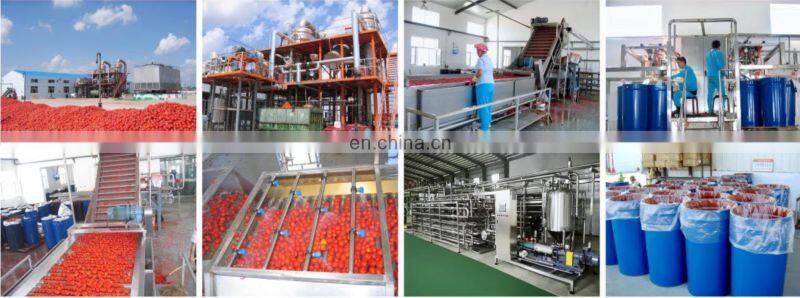 Factory Industrial small scale tomato crushing pulping machine cooking equipment tomato ketchup paste plant production line