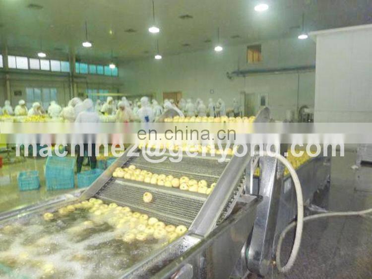 Custom made mushroom production line with high quality