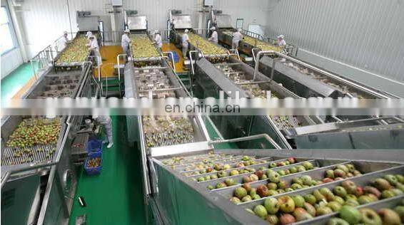 carrot machine composite vegetable fruit juice production line for sale