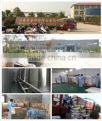 Changge Ruifengfang Bee Products Co., Ltd. company overview - view 1