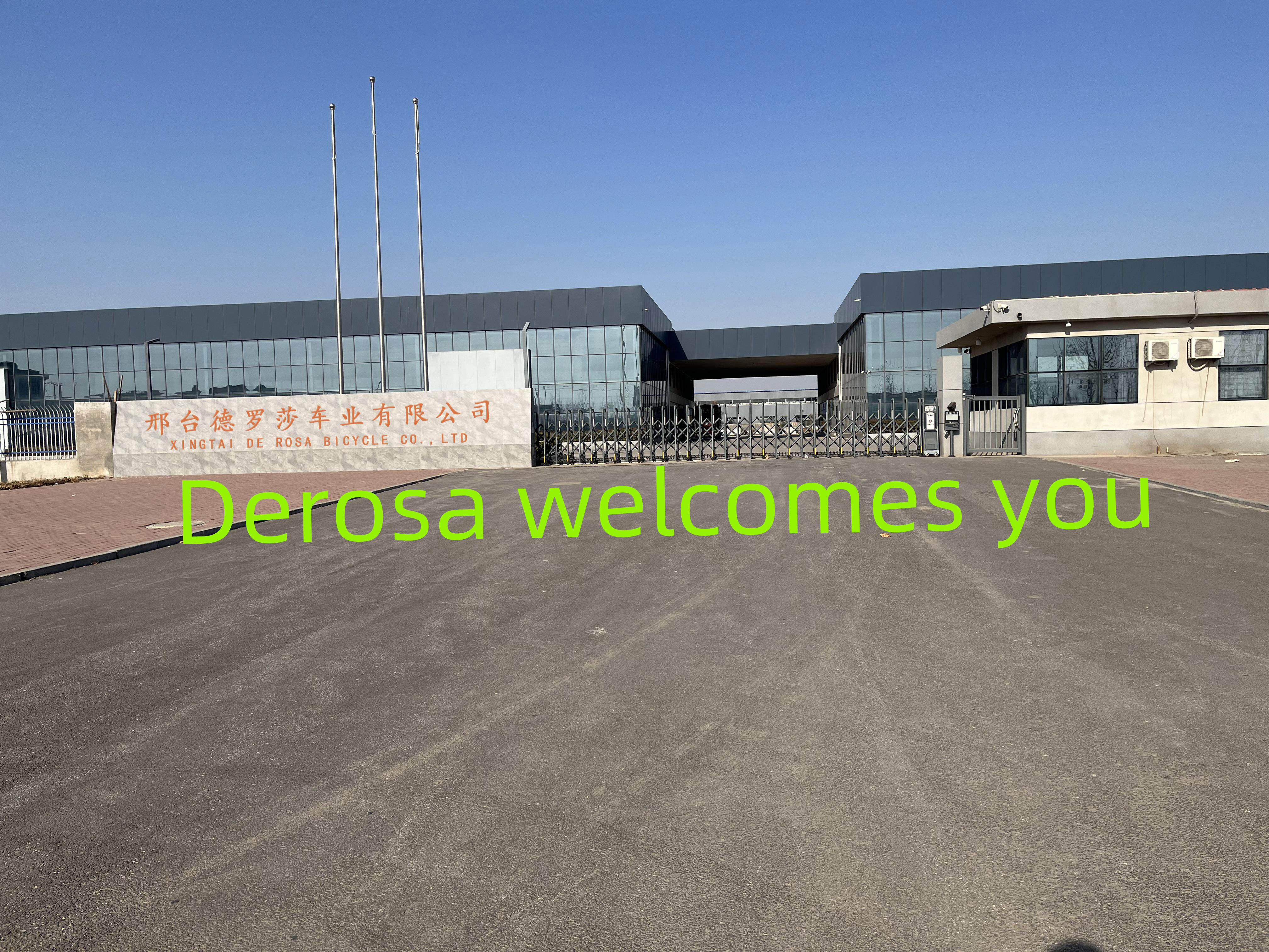 Xingtai De Rosa Bicycle Co.,ltd. company overview - view 1