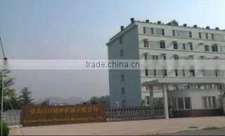 Qingdao Richuan Precision Machinery Co., Ltd. company overview - view 1