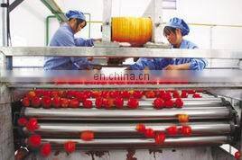 Complete Tomato Paste Making Machine with packing line
