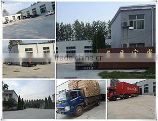 Cao County Yuguang Crafts Co., Ltd. company overview - view 1