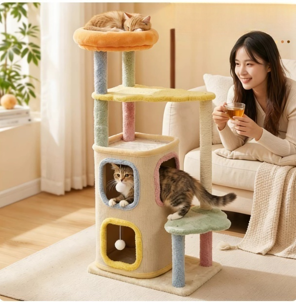 58070f09-c11d-479c-b306-28ea927ef2e0