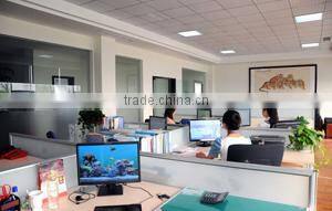 Shenzhen Scoda Industrial Co., Ltd. company overview - view 2